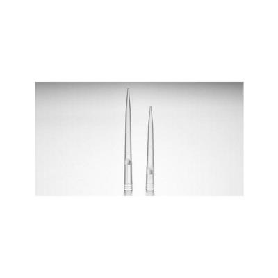 PUNTALI C/FILTRO 1-200UL CF 960PZ