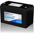 BATTERIA 118AH 12V TUBOLARE