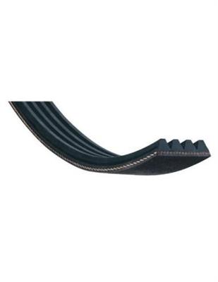 CINGHIA POLY V J10-1752
