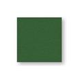 TOVAGLIOLO VERDE 38X38 (CONF. 40 PZ)