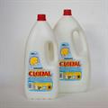 CANDEGGINA CLORAL LT 2X9
