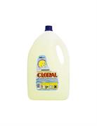 CANDEGGINA CLORAL LT 4