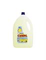 CANDEGGINA CLORAL LT 4